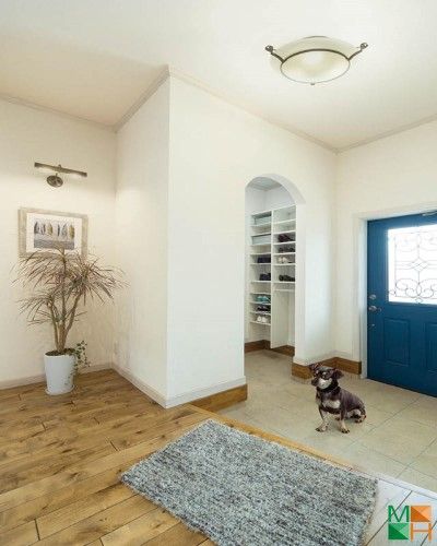 Giấy dán tường Nhật Bản màu kem P213_01_6499_6574